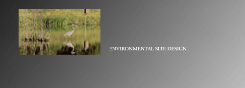 Environmental Site Design