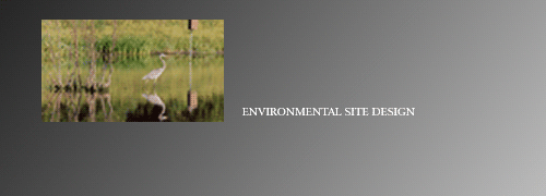 Environmental Site Design